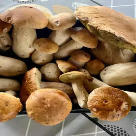 펜션 Antica Dimora *